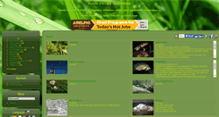 Desktop Screenshot of fond-ecran.perspicax.com