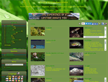 Tablet Screenshot of fond-ecran.perspicax.com